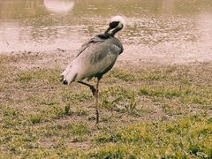 -哈尔滨北方森林动物园