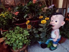 -卓花境Flowerwonderland花店