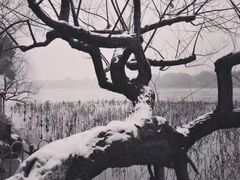 -杭州西湖风景名胜区北街寻梦停车场