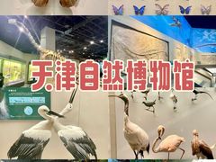 -天津自然博物馆