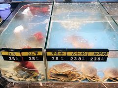 -五谷芳乳鸽王（大梅沙总店C区）(网红打卡店)