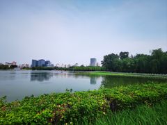-莲花池公园