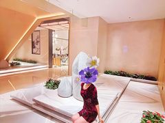 -广州奥园喜来登酒店