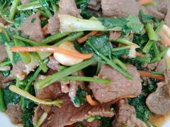 香菜炒羊肉-庄河步云山羊汤(椒房店)