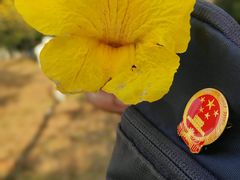 -天河儿童公园