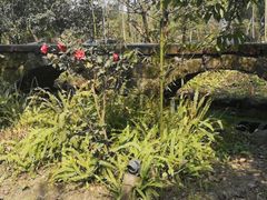 -驿舍·民國老营房院子私房菜(科学会堂店)