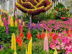 -上海共青森林公园