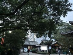 -杭州半山国家森林公园