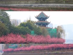-望江楼公园