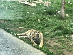 -西安秦岭野生动物园