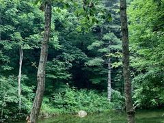 -洛阳白云山景区