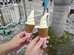 -富豪雪糕车流动点(尖沙咀店)