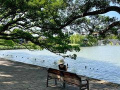 -江心屿景区