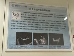 -首都医科大学附属北京天坛医院