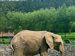 -哈尔滨北方森林动物园