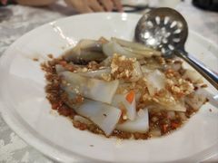 -丁老爷子苏香圆