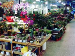 -双季花艺园艺市场(浦东店)