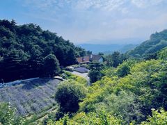 -云峰山自然风景区