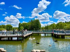 -鄂尔多斯野生动物园