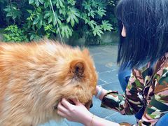 -看见远方·莫干遥远的山民宿