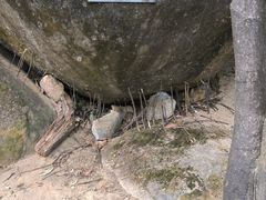 -火炉山森林公园