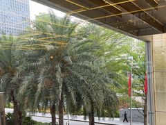 -大中华希尔顿酒店-念自助餐·嗨啤·小龙虾