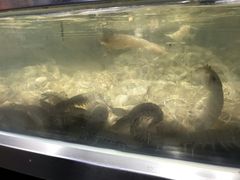 -盒马鲜生(莱蒙都会店)