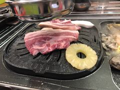 -海抱猪