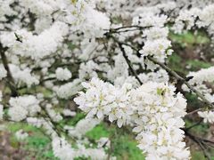 -贵阳蓬莱仙界