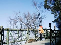 -少华山国家森林公园