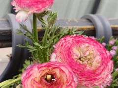 -泉乐坊步行街(烟酒特产平价超市店)