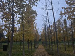 -汉长安城未央宫国家考古遗址公园