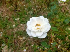 -镇坪县曙坪小学