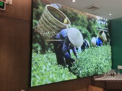 -湘邻呷铺·田园家宴(汉基广场店)