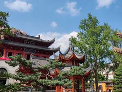 -上海东林寺(金山区)