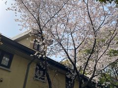 -颐和路民国时期公馆风貌区