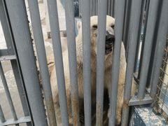 -蓬莱欧乐堡海洋极地世界