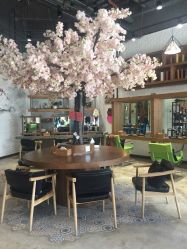 -简影造型·自选烫染接发salon