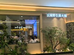 -季季山·云南野生菌火锅(上海首店)