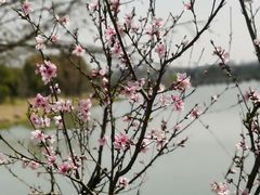 -澹台湖公园