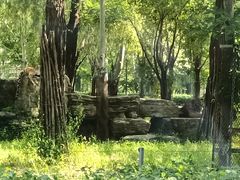 -秦皇岛野生动物园