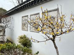 -无锡梅园公园
