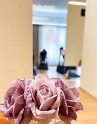 -康舒普拉提工作室control pilates