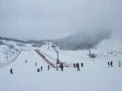 -太子岭滑雪场