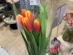 -AEON永旺(东方宝泰店)