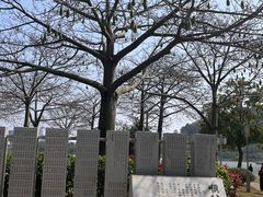 -顺峰山公园