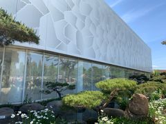 -罗红摄影艺术馆