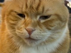 -平行世界·猫咖(首经贸店)