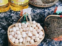 -老阿爸江浙土菜(奥体中心店)