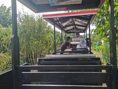 -武汉紫薇都市田园